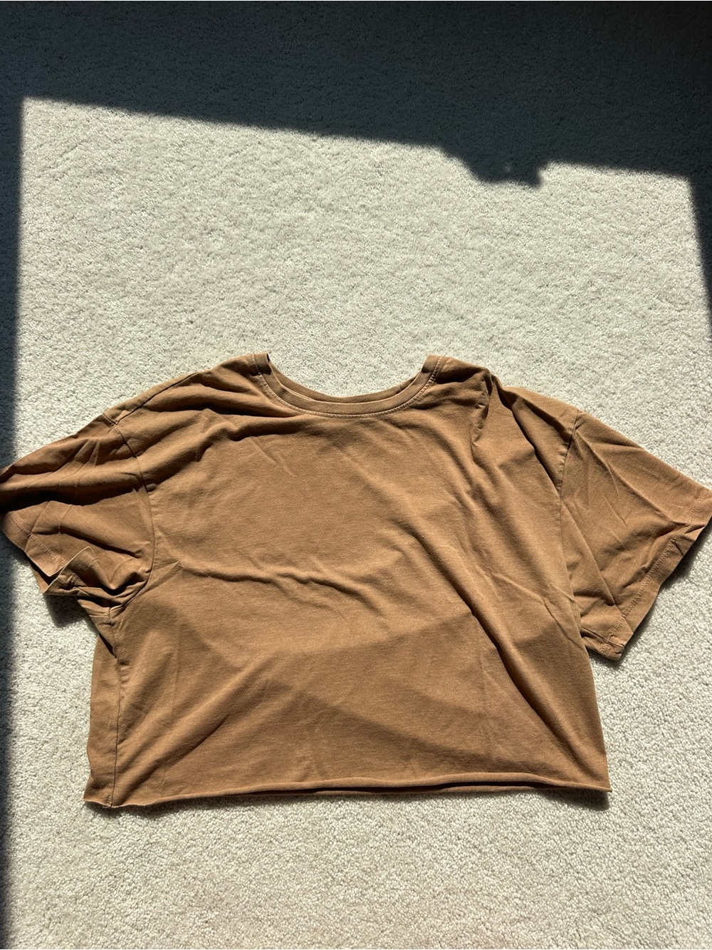 wild fable Cropped Tee in Brown
